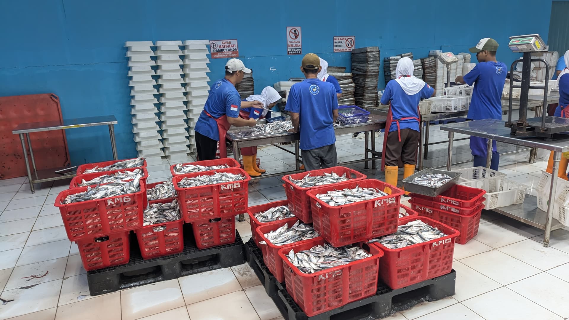 Koperasi Raih Sertifikasi SKP untuk Berbagai Produk Beku