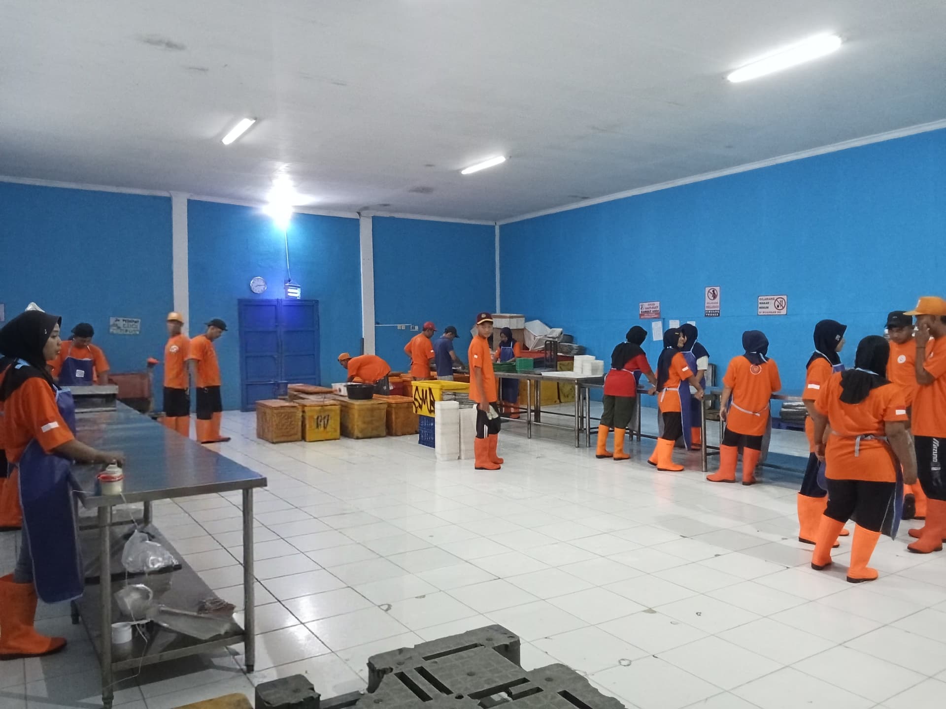 Peresmian Gudang Cold Storage Kapasitas 100 Ton