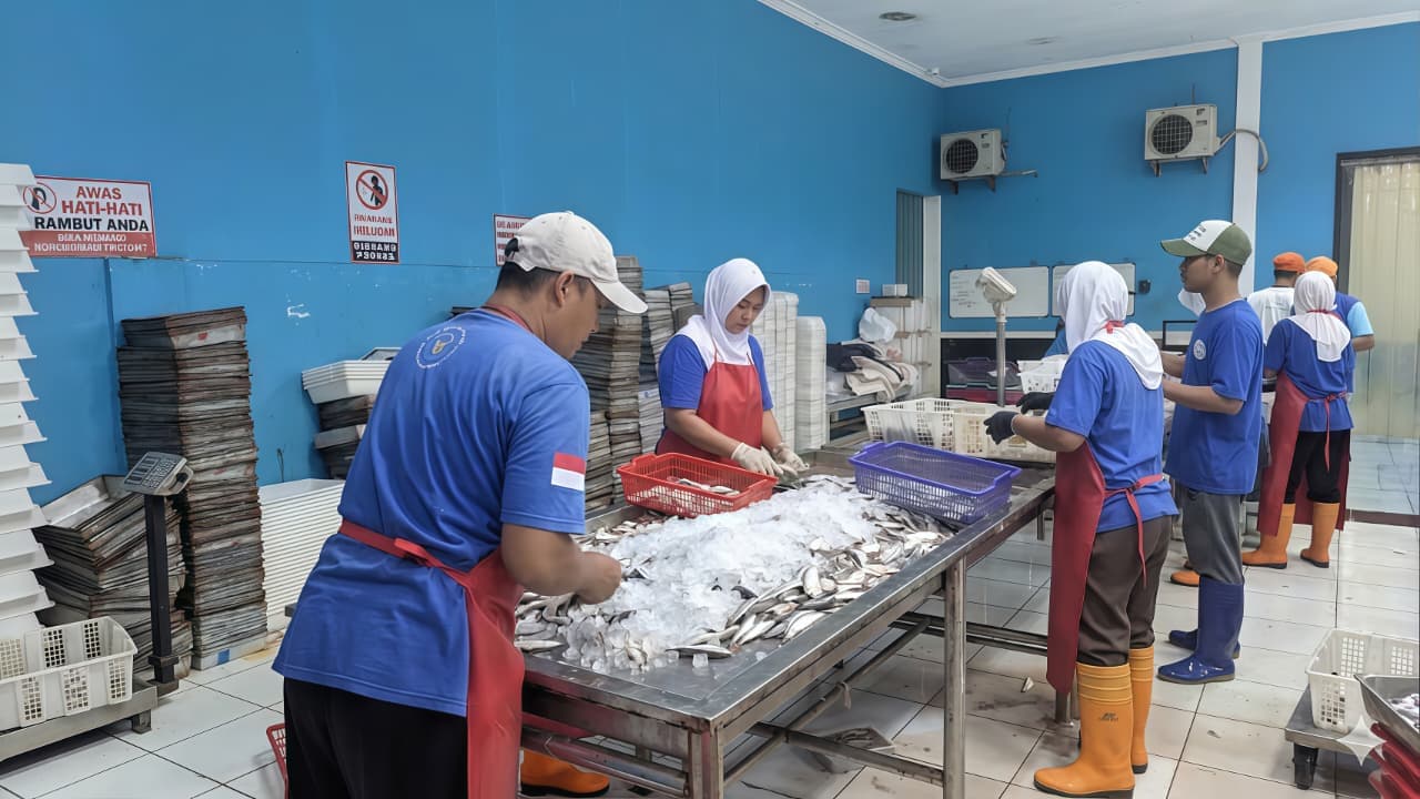 Proses Pembekuan Ikan